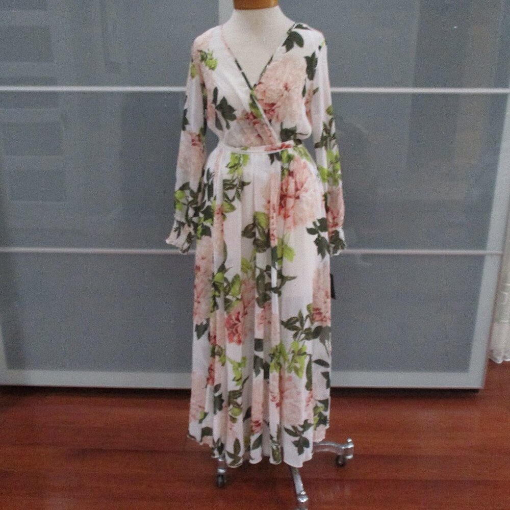 Alexa B Long Sleeve Floral Print V-Neck Maxi Dress